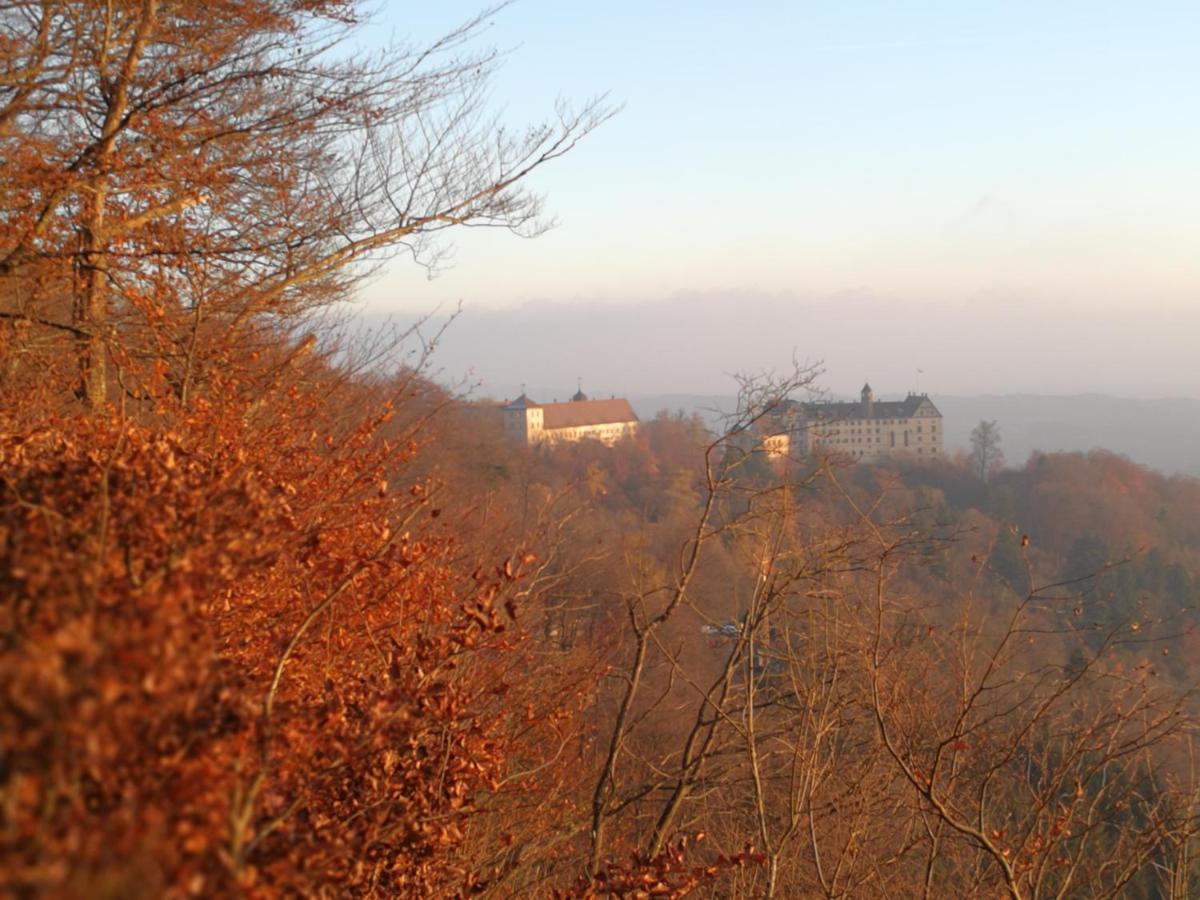 Ferienwohnung Am Bodensee Heiligenberg Phòng bức ảnh